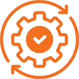 Project Execution